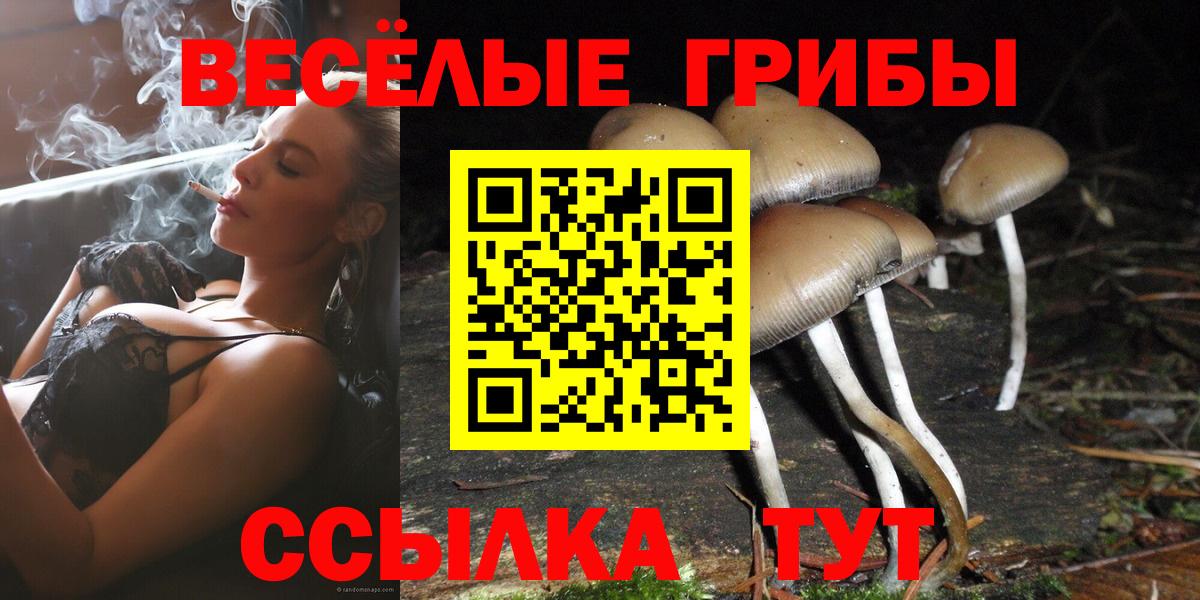 Псилоцибиновые грибы Psilocybe Новодвинск